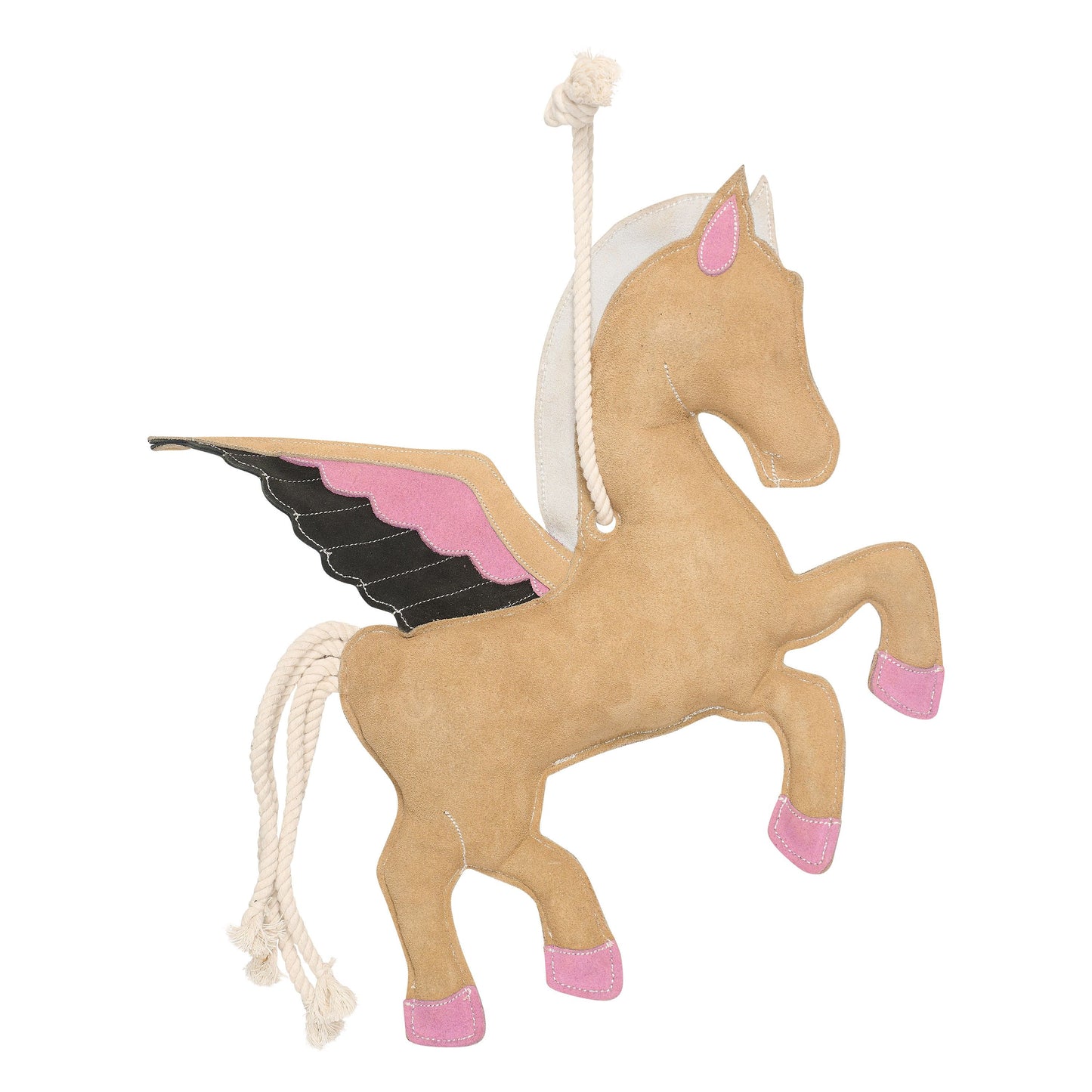 Stable buddy Pagasus