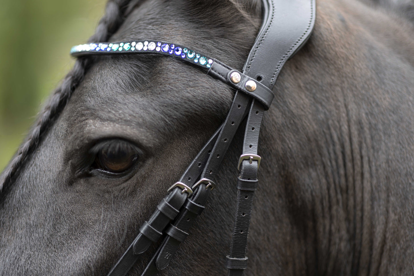 Trenshoofdstel Port Royal