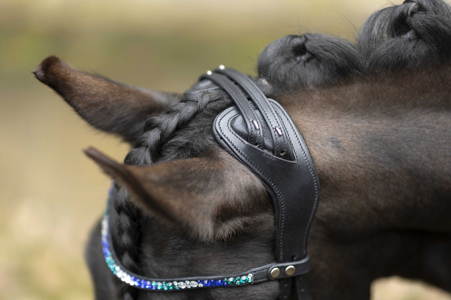 Trenshoofdstel Port Royal