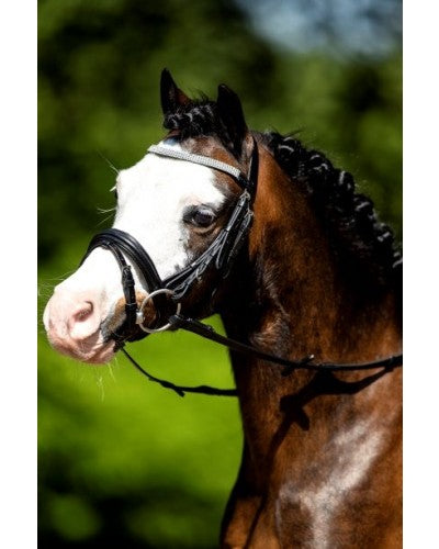 HB luxe hoofdstel little sizes