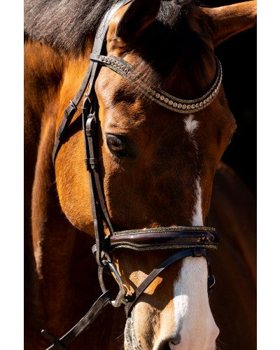 HB showtime Jump rocky glitter