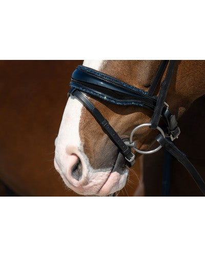 HB Showtime It is so special