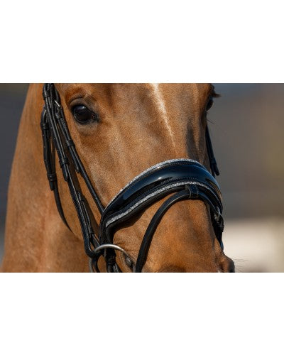 HB Showtime It is so special