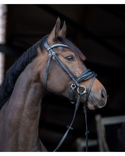 HB showtime Stockholm