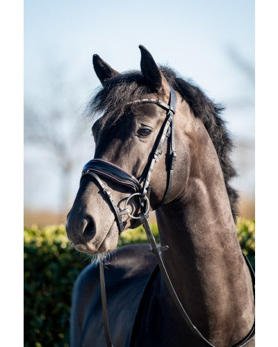 Uniquerider - Bilterweg 70, 3840 Borgloon, België. Contact: +32 479 284816, info@uniquerider.be. BTW-nummer: BE0806 653 780.