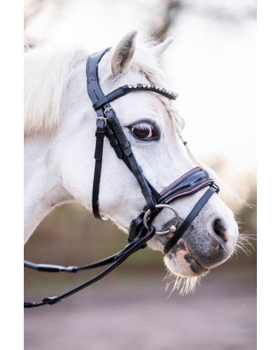 HB Showtime Hoofdstel Special A-pony