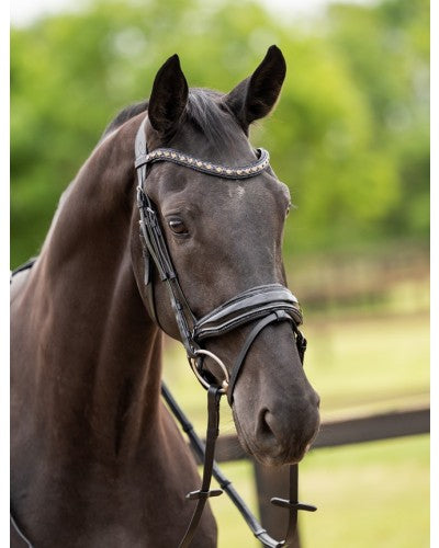 HB Showtime Las Vegas