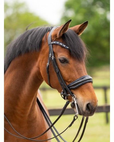 HB Showtime All You Needed