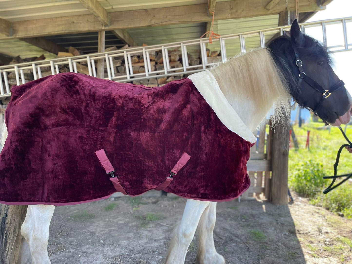 Uniquerider - Bilterweg 70, 3840 Borgloon, België. Contact: +32 479 284816, info@uniquerider.be. BTW-nummer: BE0806 653 780.