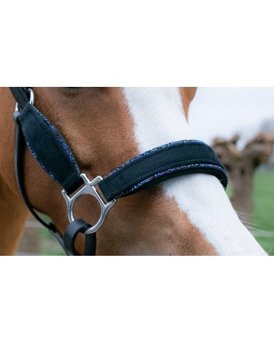 Showtime Velvet halsters little sizes glitter