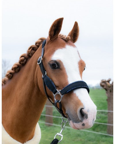 Showtime Velvet halsters little sizes glitter