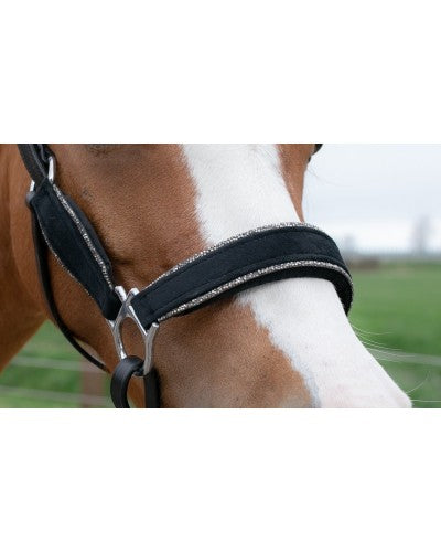 Showtime Velvet halsters little sizes glitter