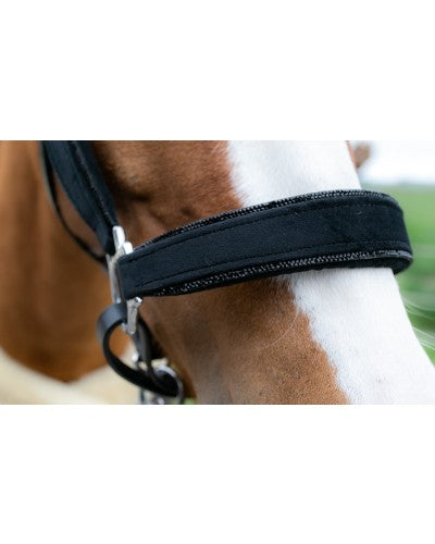 Showtime Velvet halsters little sizes glitter