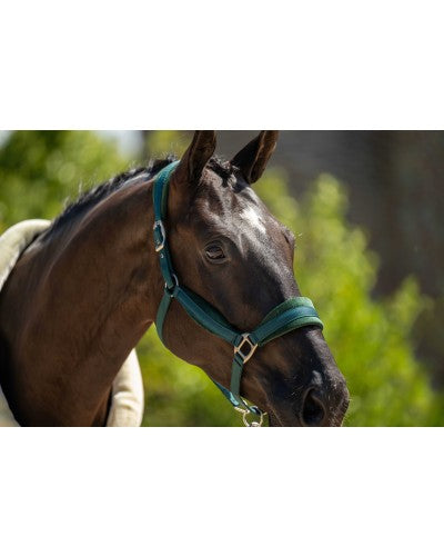 HB showtime Velvet halsterset