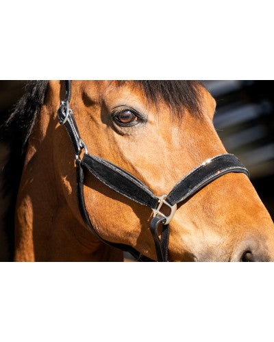 Uniquerider - Bilterweg 70, 3840 Borgloon, België. Contact: +32 479 284816, info@uniquerider.be. BTW-nummer: BE0806 653 780.