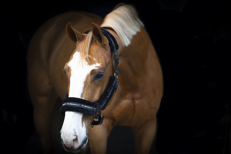 LJ Halster nylon met vacht