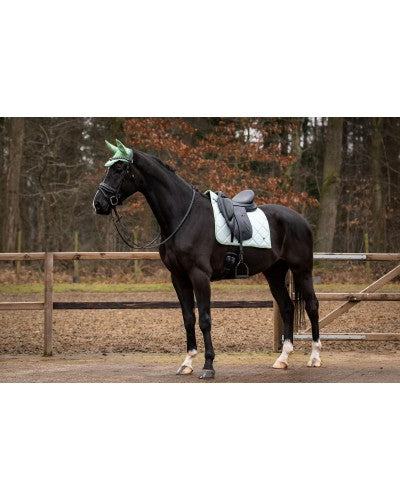 HB Showtime zadeldekjes Spring collectie