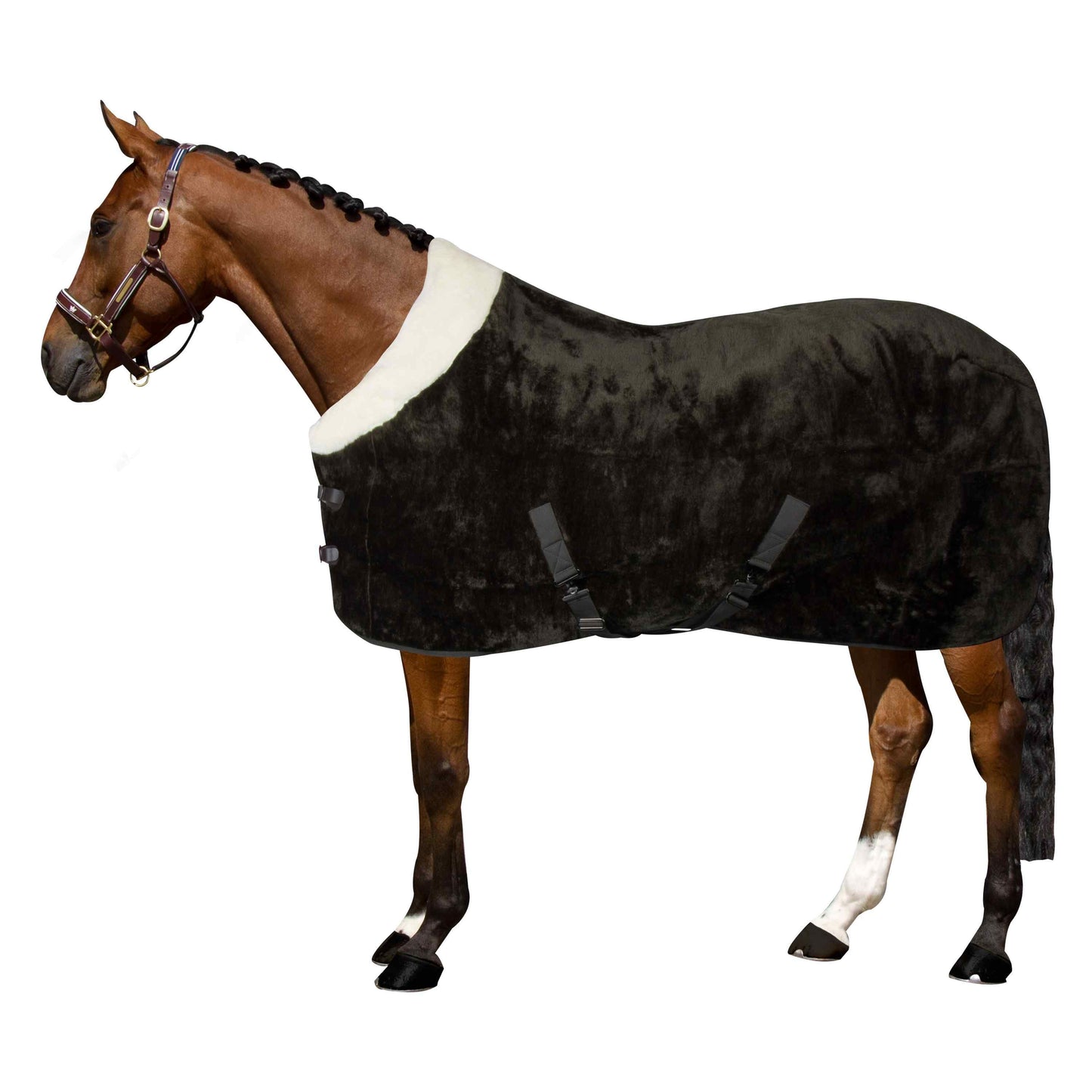 Uniquerider - Bilterweg 70, 3840 Borgloon, België. Contact: +32 479 284816, info@uniquerider.be. BTW-nummer: BE0806 653 780.