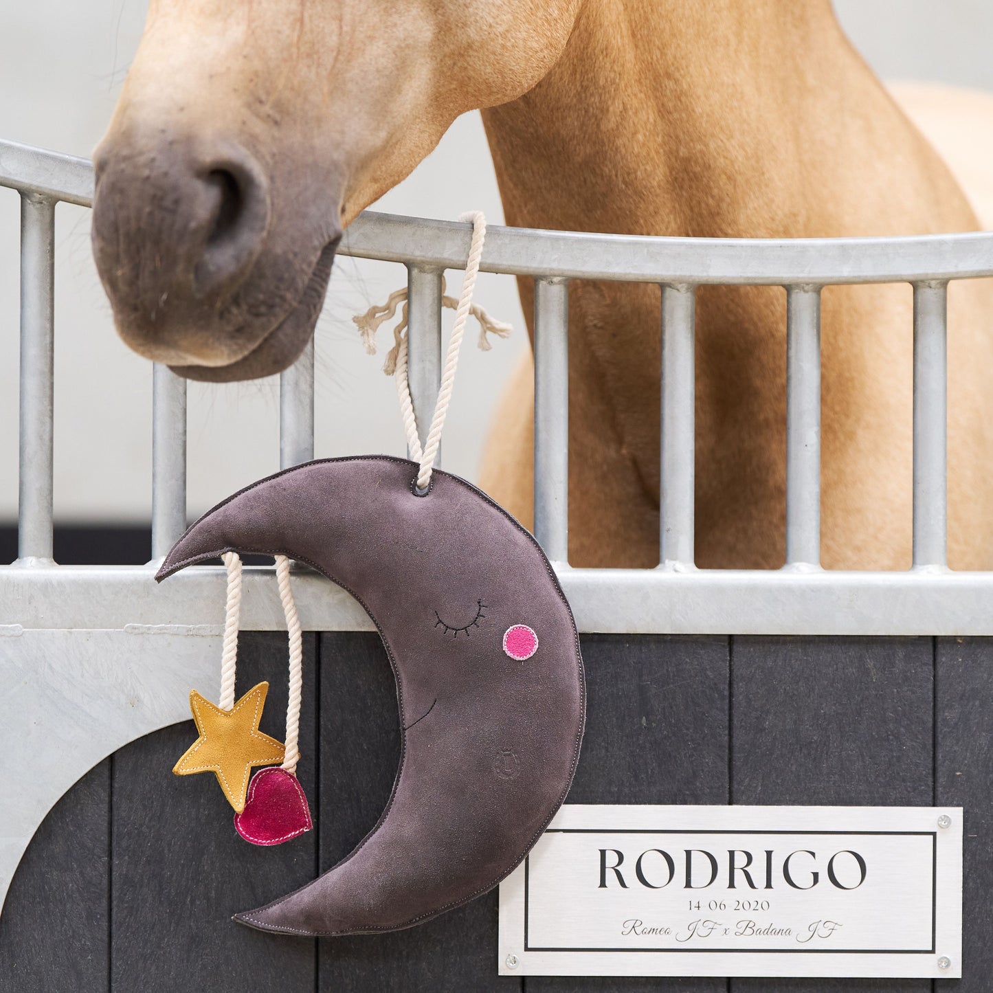 Stable buddy Moony