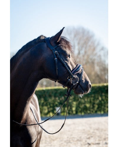 Uniquerider - Bilterweg 70, 3840 Borgloon, België. Contact: +32 479 284816, info@uniquerider.be. BTW-nummer: BE0806 653 780.