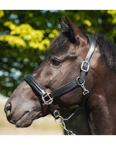 Uniquerider - Bilterweg 70, 3840 Borgloon, België. Contact: +32 479 284816, info@uniquerider.be. BTW-nummer: BE0806 653 780.