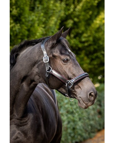 Uniquerider - Bilterweg 70, 3840 Borgloon, België. Contact: +32 479 284816, info@uniquerider.be. BTW-nummer: BE0806 653 780.