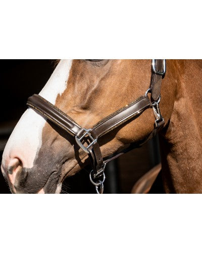 Uniquerider - Bilterweg 70, 3840 Borgloon, België. Contact: +32 479 284816, info@uniquerider.be. BTW-nummer: BE0806 653 780.