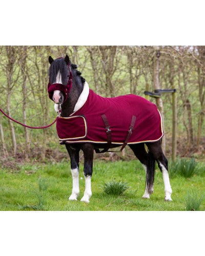 HB Dutch Crown little sizes