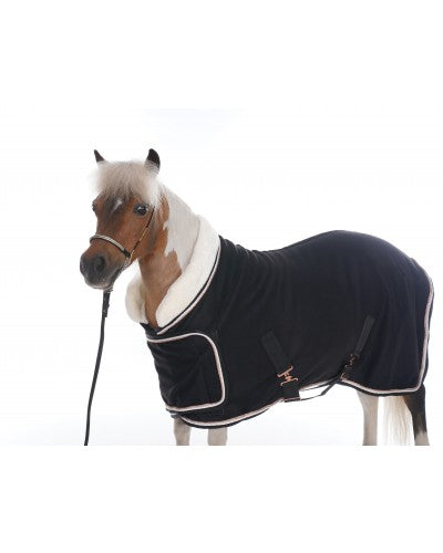 HB Dutch Crown europe rose little sizes