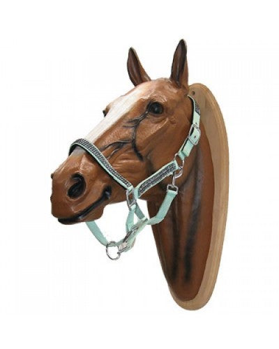 Uniquerider - Bilterweg 70, 3840 Borgloon, België. Contact: +32 479 284816, info@uniquerider.be. BTW-nummer: BE0806 653 780.
