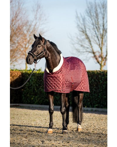 Uniquerider - Bilterweg 70, 3840 Borgloon, België. Contact: +32 479 284816, info@uniquerider.be. BTW-nummer: BE0806 653 780.