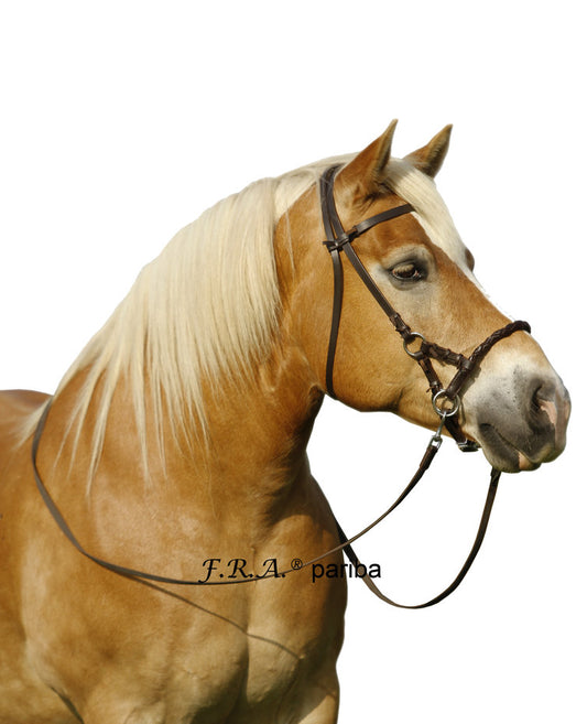 Uniquerider - Bilterweg 70, 3840 Borgloon, België. Contact: +32 479 284816, info@uniquerider.be. BTW-nummer: BE0806 653 780.