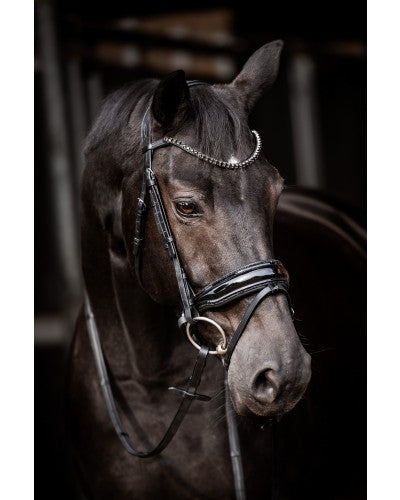 Uniquerider - Bilterweg 70, 3840 Borgloon, België. Contact: +32 479 284816, info@uniquerider.be. BTW-nummer: BE0806 653 780.