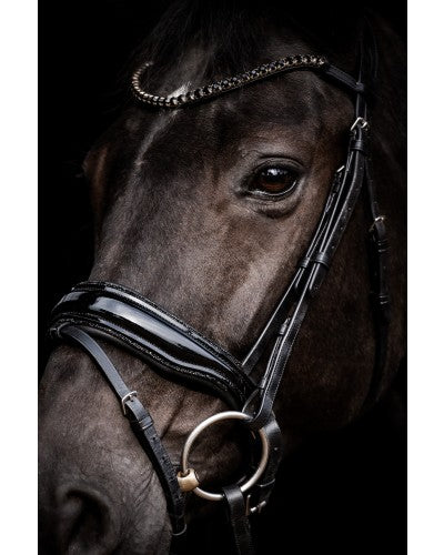 Uniquerider - Bilterweg 70, 3840 Borgloon, België. Contact: +32 479 284816, info@uniquerider.be. BTW-nummer: BE0806 653 780.