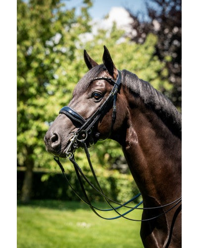 Uniquerider - Bilterweg 70, 3840 Borgloon, België. Contact: +32 479 284816, info@uniquerider.be. BTW-nummer: BE0806 653 780.