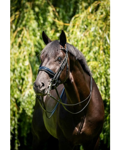 Uniquerider - Bilterweg 70, 3840 Borgloon, België. Contact: +32 479 284816, info@uniquerider.be. BTW-nummer: BE0806 653 780.