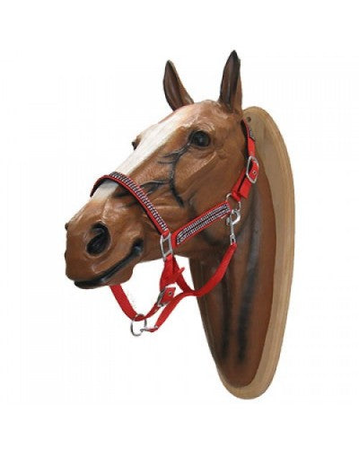 Uniquerider - Bilterweg 70, 3840 Borgloon, België. Contact: +32 479 284816, info@uniquerider.be. BTW-nummer: BE0806 653 780.
