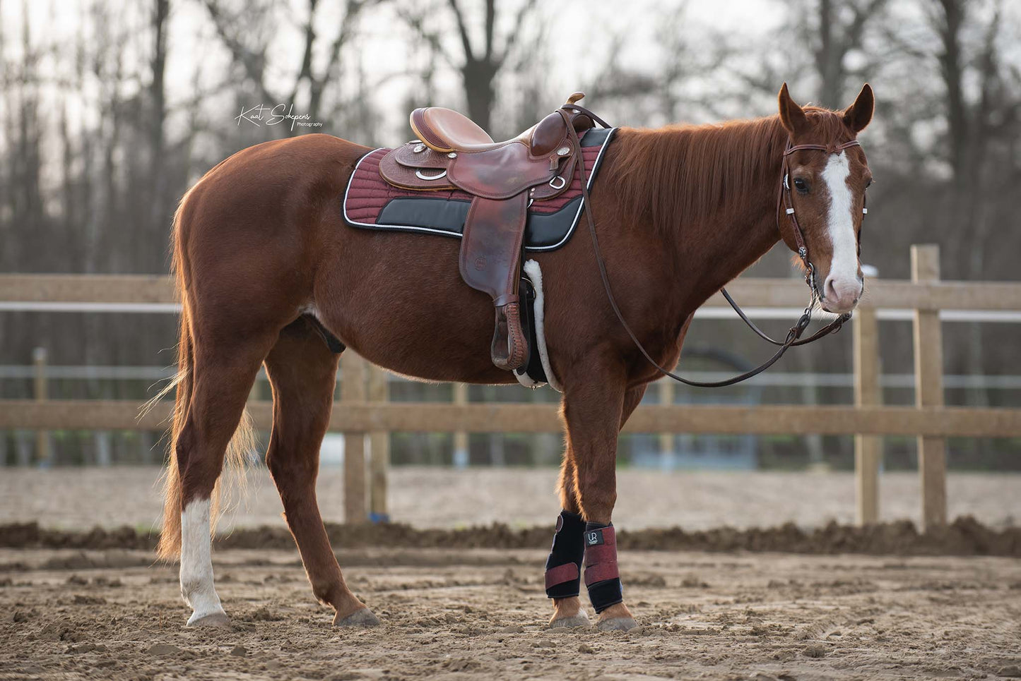 Uniquerider - Bilterweg 70, 3840 Borgloon, België. Contact: +32 479 284816, info@uniquerider.be. BTW-nummer: BE0806 653 780.