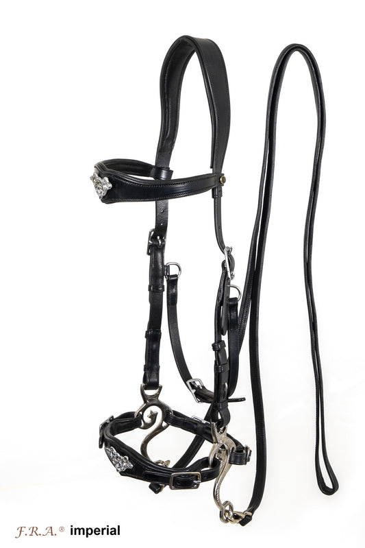 Uniquerider - Bilterweg 70, 3840 Borgloon, België. Contact: +32 479 284816, info@uniquerider.be. BTW-nummer: BE0806 653 780.