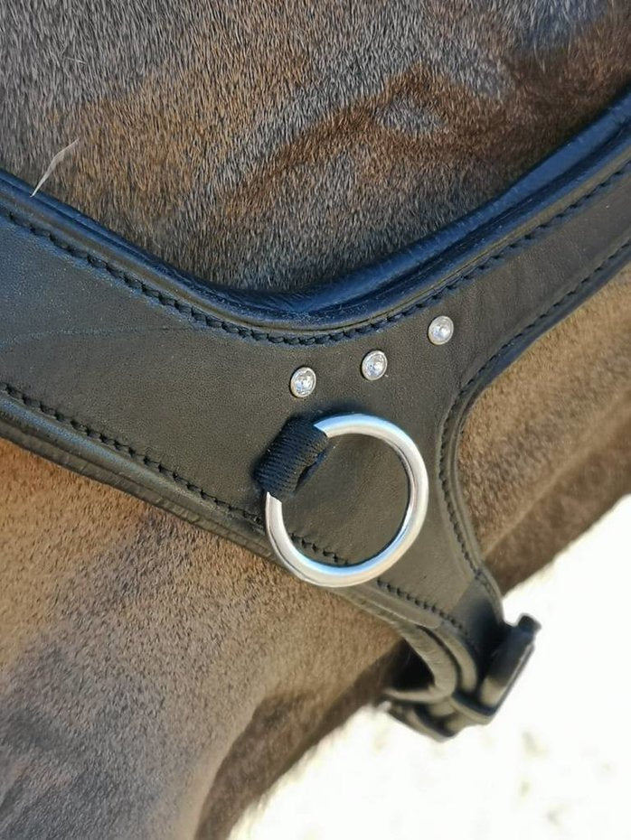 Uniquerider - Bilterweg 70, 3840 Borgloon, België. Contact: +32 479 284816, info@uniquerider.be. BTW-nummer: BE0806 653 780.