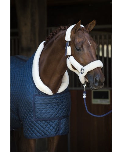 Uniquerider - Bilterweg 70, 3840 Borgloon, België. Contact: +32 479 284816, info@uniquerider.be. BTW-nummer: BE0806 653 780.