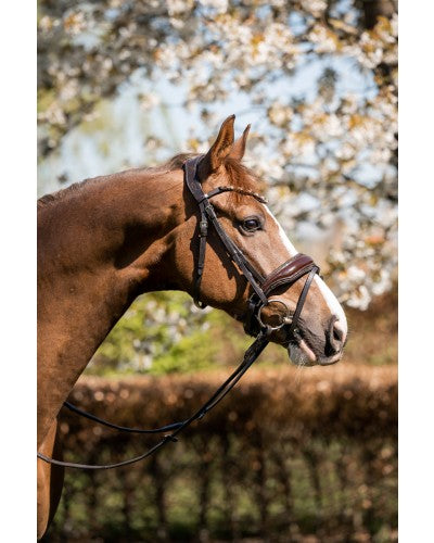 Uniquerider - Bilterweg 70, 3840 Borgloon, België. Contact: +32 479 284816, info@uniquerider.be. BTW-nummer: BE0806 653 780.