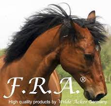 Freedom riding articles