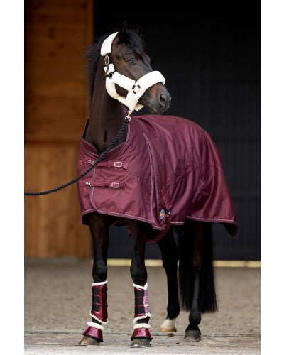 HB showtime Outdoor channel 200