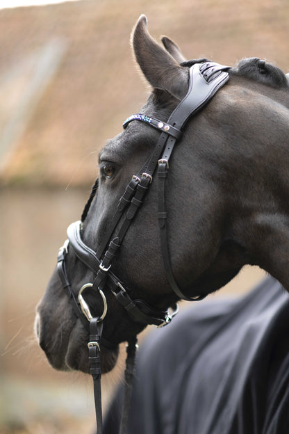 Trenshoofdstel Port Royal