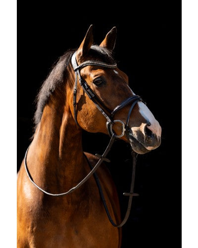 HB showtime Jump lak