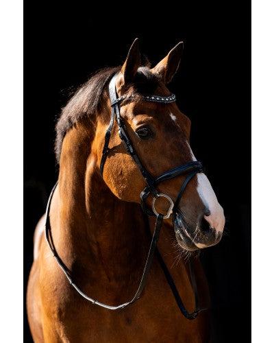 HB showtime Jump lak