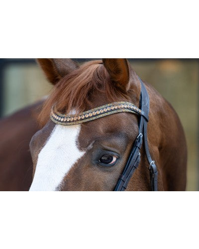 HB Showtime It is so special