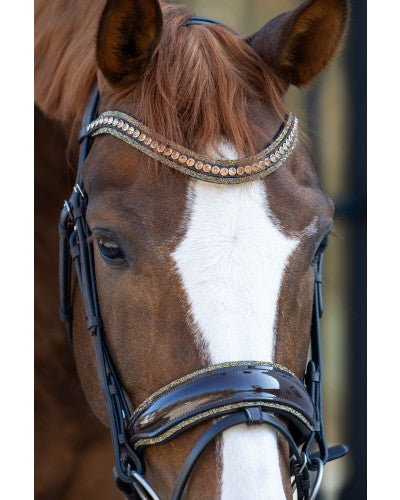 HB Showtime It is so special