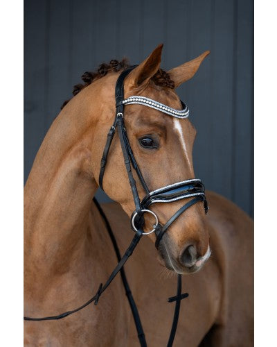 HB Showtime It is so special